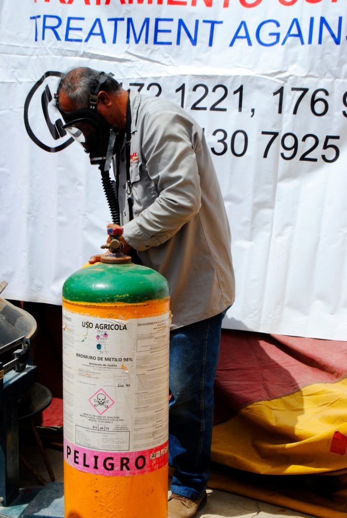 servicios de fumigación y control de plagas