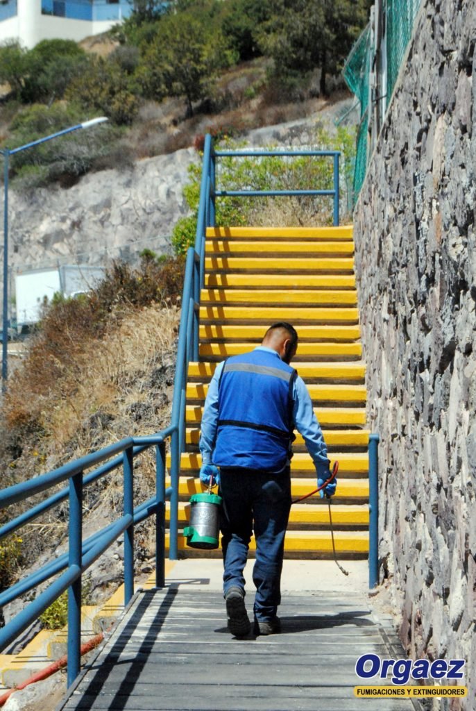 servicios de fumigación y control de plagas